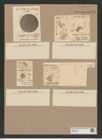 Craspedodiscus coscinodisucs Ehr. (de-Toni-Nr.: Genus 201, Species 4832) Zeichnungen Sammlung Grunow Nr. 8495 (NHMW-BOT-W0377967)